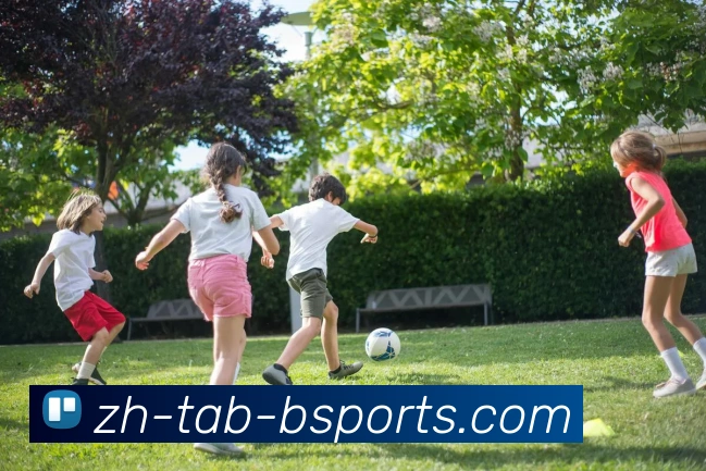 B体育APP 封面图